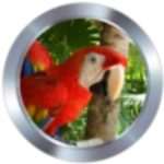 animal ringtones android application logo